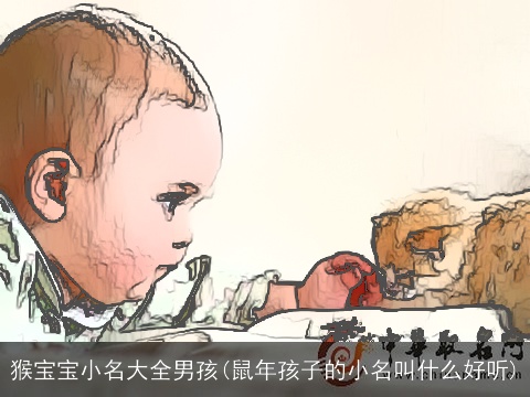 猴宝宝小名大全男孩(鼠年孩子的小名叫什么好听)