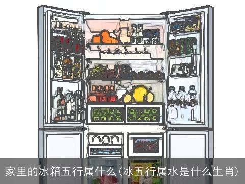 家里的冰箱五行属什么(冰五行属水是什么生肖)