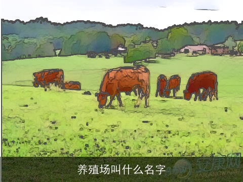 养殖场叫什么名字