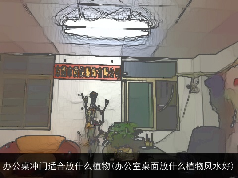 办公桌冲门适合放什么植物(办公室桌面放什么植物风水好)