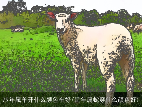 79年属羊开什么颜色车好(鼠年属蛇穿什么颜色好)
