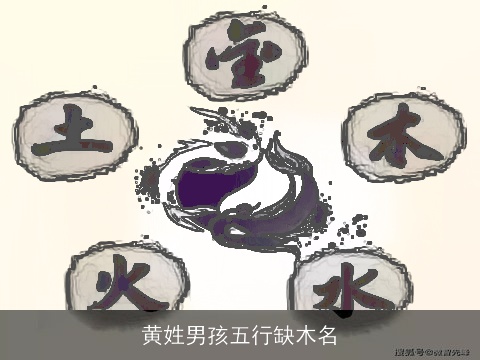 黄姓男孩五行缺木名