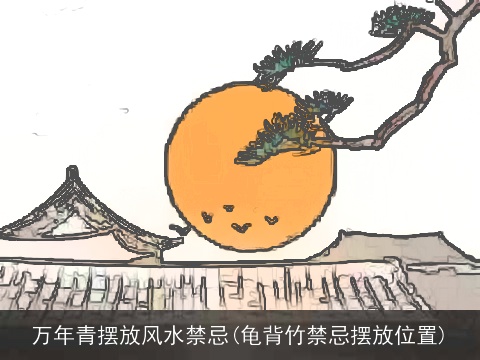 万年青摆放风水禁忌(龟背竹禁忌摆放位置)