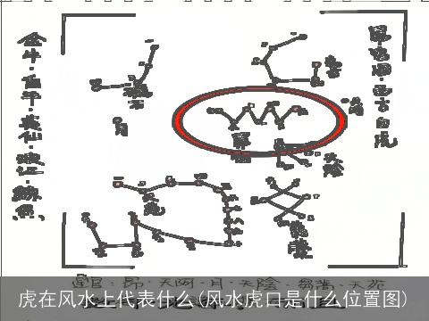 虎在风水上代表什么(风水虎口是什么位置图)