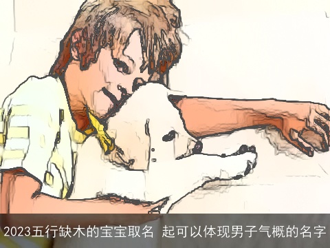 2023五行缺木的宝宝取名 起可以体现男子气概的名字