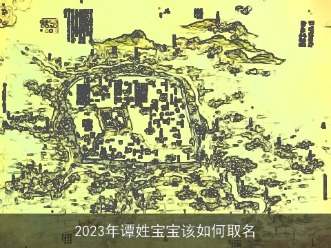 2023年谭姓宝宝该如何取名