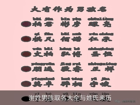 谢姓男孩取名大全与姓氏来历