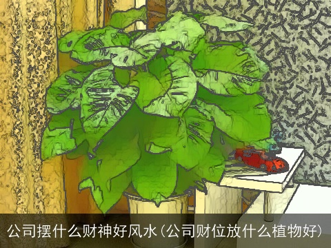 公司摆什么财神好风水(公司财位放什么植物好)