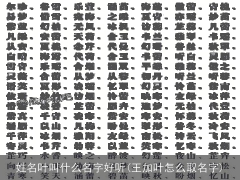 姓名叶叫什么名字好听(王加叶怎么取名字)