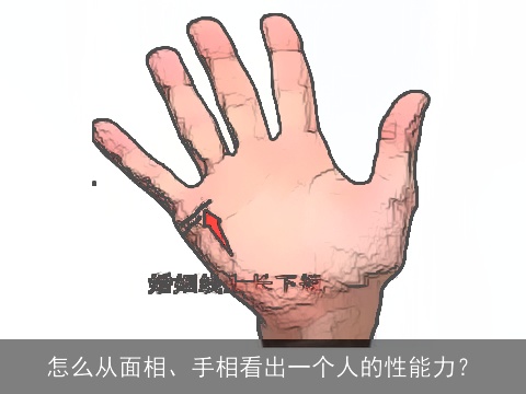 怎么从面相、手相看出一个人的性能力？