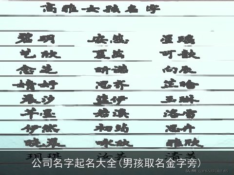 公司名字起名大全(男孩取名金字旁)