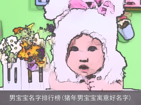 男宝宝名字排行榜(猪年男宝宝寓意好名字)