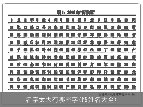 名字太大有哪些字(取姓名大全)