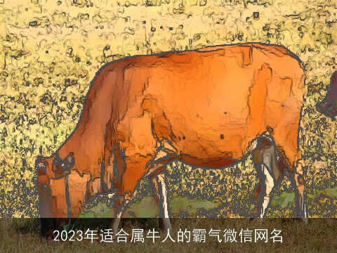 2023年适合属牛人的霸气微信网名