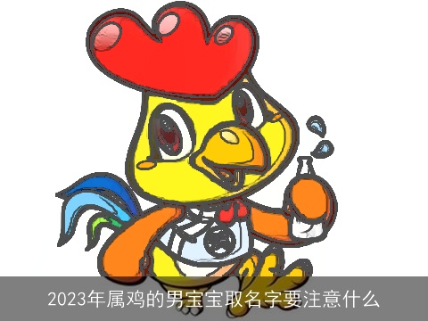 2023年属鸡的男宝宝取名字要注意什么