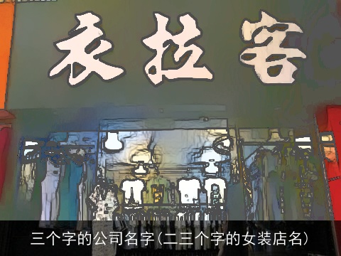 三个字的公司名字(二三个字的女装店名)