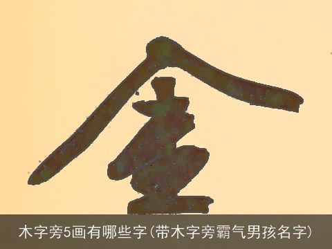 木字旁5画有哪些字(带木字旁霸气男孩名字)
