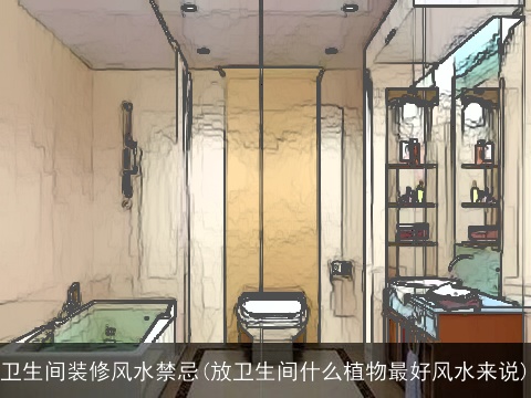 卫生间装修风水禁忌(放卫生间什么植物最好风水来说)