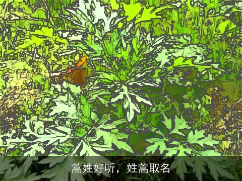 蒿姓好听，姓蒿取名