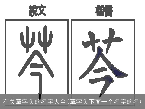 有关草字头的名字大全(草字头下面一个名字的名)
