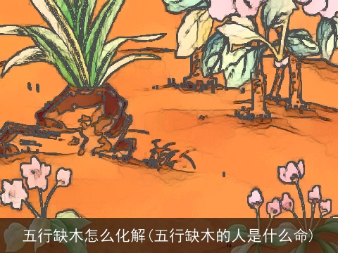 五行缺木怎么化解(五行缺木的人是什么命)