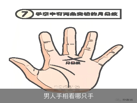 男人手相看哪只手