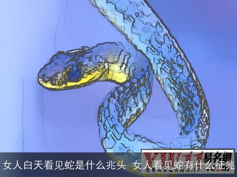 女人白天看见蛇是什么兆头 女人看见蛇有什么征兆