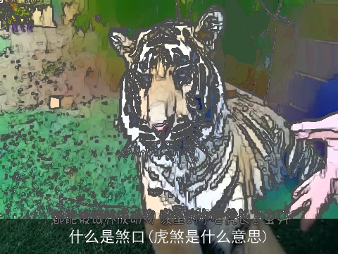 什么是煞口(虎煞是什么意思)