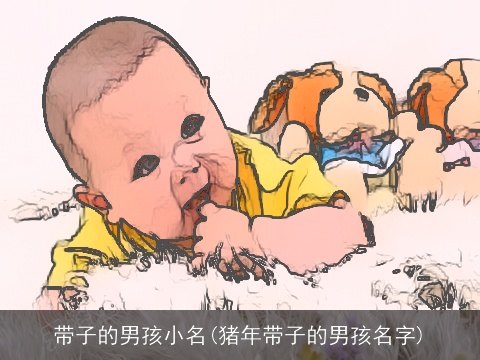 带子的男孩小名(猪年带子的男孩名字)