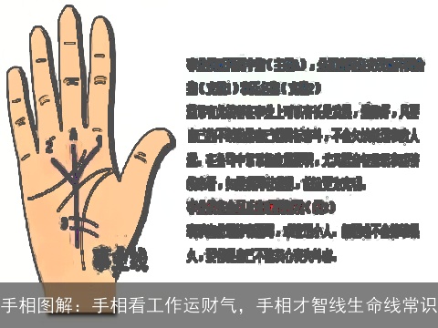 手相图解：手相看工作运财气，手相才智线生命线常识