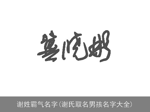谢姓霸气名字(谢氏取名男孩名字大全)