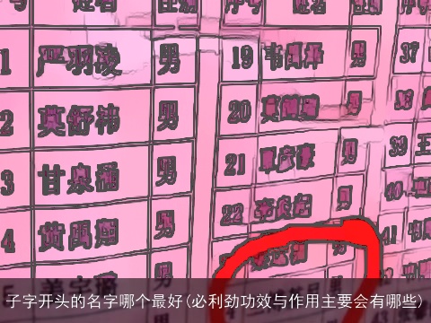 子字开头的名字哪个最好(必利劲功效与作用主要会有哪些)