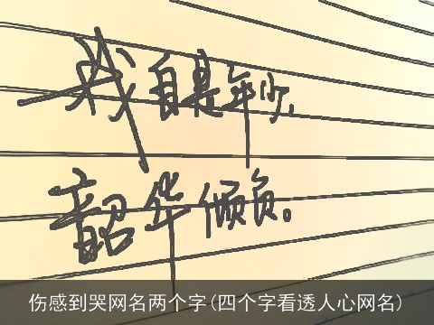 伤感到哭网名两个字(四个字看透人心网名)