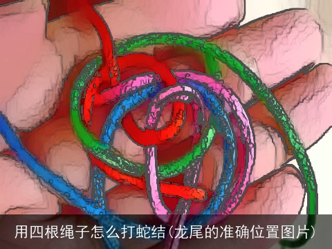 用四根绳子怎么打蛇结(龙尾的准确位置图片)