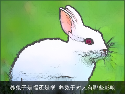养兔子是福还是祸 养兔子对人有哪些影响