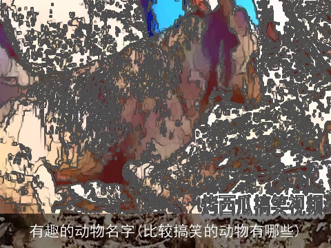 有趣的动物名字(比较搞笑的动物有哪些)