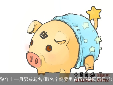 猪年十一月男孩起名(取名字需要用农历还是阳历日期)