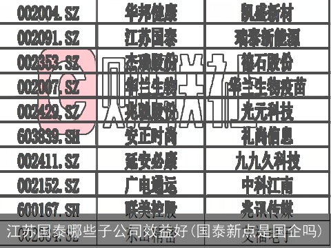 江苏国泰哪些子公司效益好(国泰新点是国企吗)