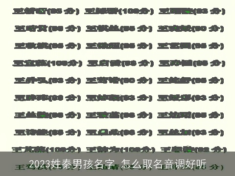 2023姓秦男孩名字 怎么取名音调好听