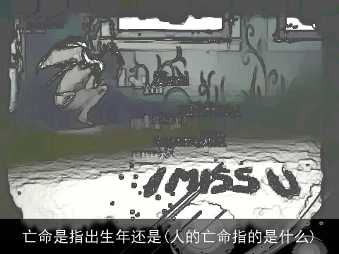 亡命是指出生年还是(人的亡命指的是什么)