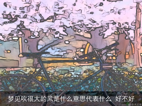 梦见吹很大的风是什么意思代表什么 好不好