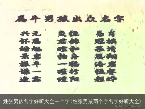 姓张男孩名字好听大全一个字(姓张男孩两个字名字好听大全)