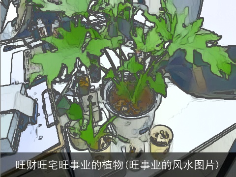 旺财旺宅旺事业的植物(旺事业的风水图片)