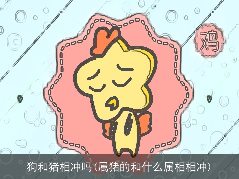 狗和猪相冲吗(属猪的和什么属相相冲)