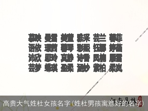 高贵大气姓杜女孩名字(姓杜男孩寓意好的名字)