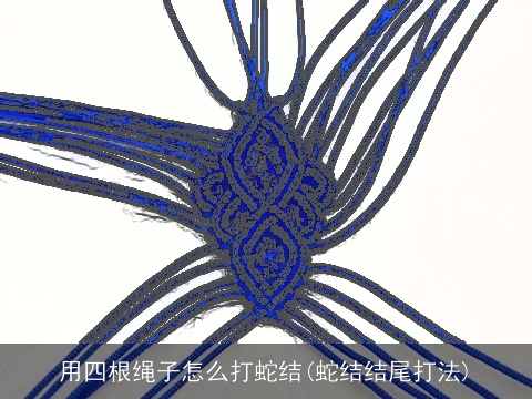 用四根绳子怎么打蛇结(蛇结结尾打法)