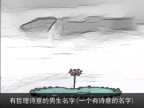 有哲理诗意的男生名字(一个有诗意的名字)