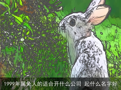 1999年属兔人的适合开什么公司 起什么名字好