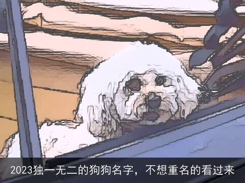 2023独一无二的狗狗名字，不想重名的看过来