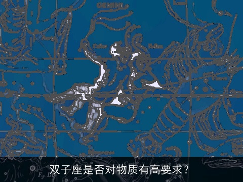 双子座是否对物质有高要求？